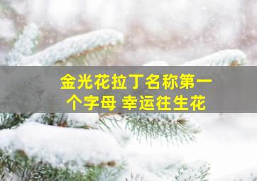 金光花拉丁名称第一个字母 幸运往生花